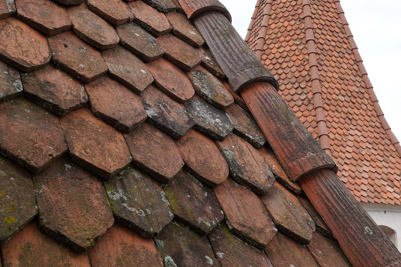 Oude kleidakpannen met mos en korstmos van dichtbij